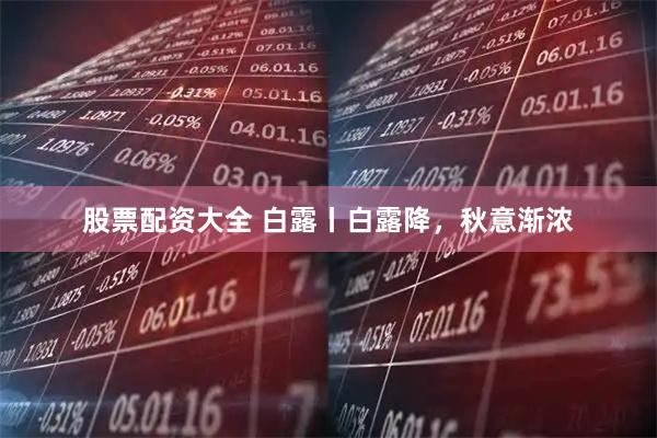 股票配资大全 白露丨白露降，秋意渐浓