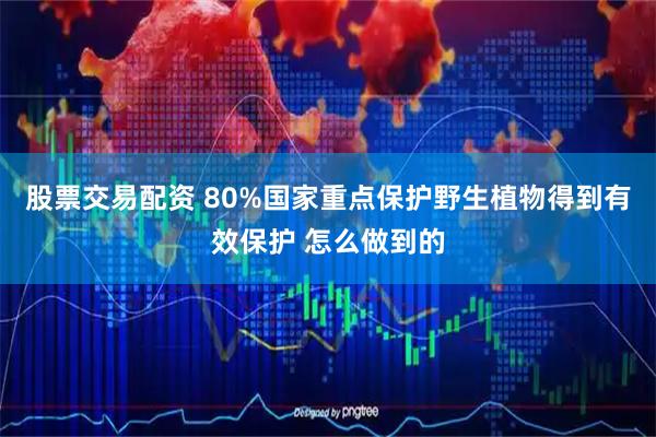 股票交易配资 80%国家重点保护野生植物得到有效保护 怎么做到的